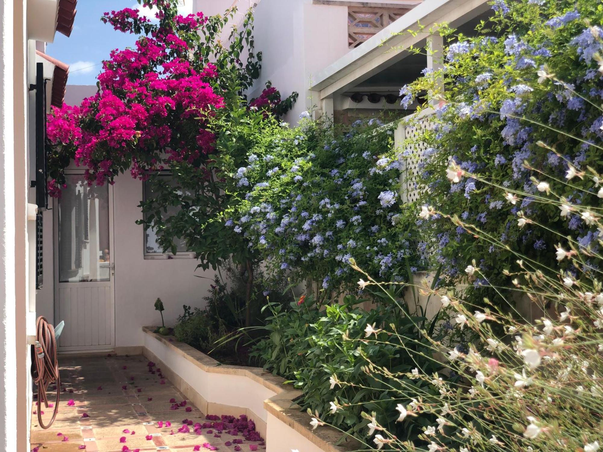 Casa Típica de Ciutadella centro Ciutadella (Menorca) Exterior foto